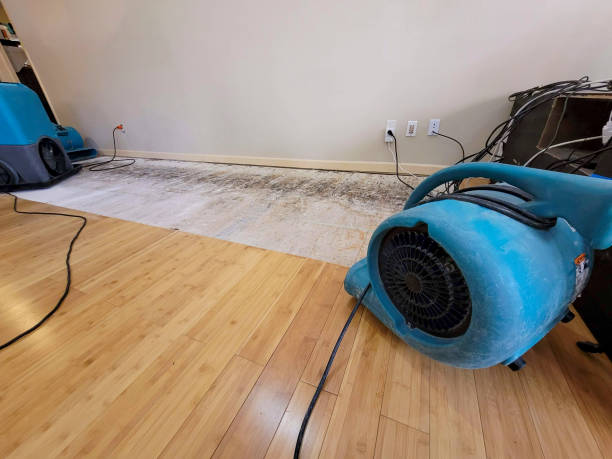 Professional Water Damage Repair technician working in Scottown, OH